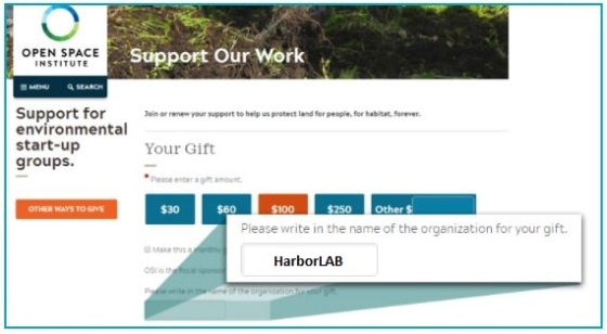 onlinedonation-harborlab